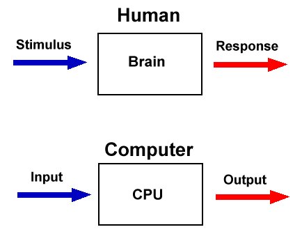 Figure 3: Human vs. Computer Computation