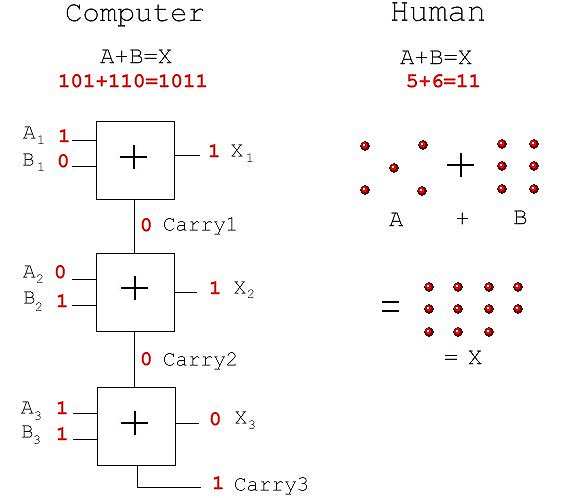 Figure 4: Human vs. Computer Addition